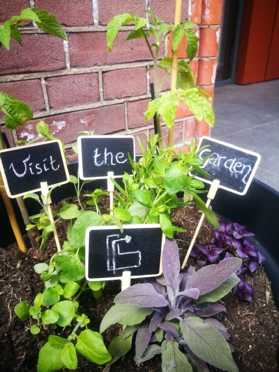 Healthy Working Habits: Creating Mindful Green Spaces