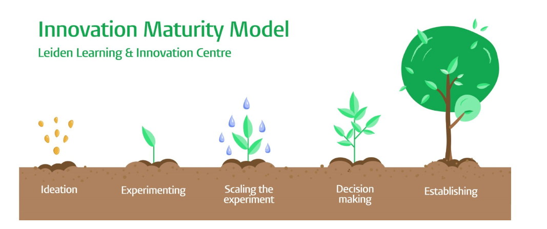 Maturity model image Future Foresight