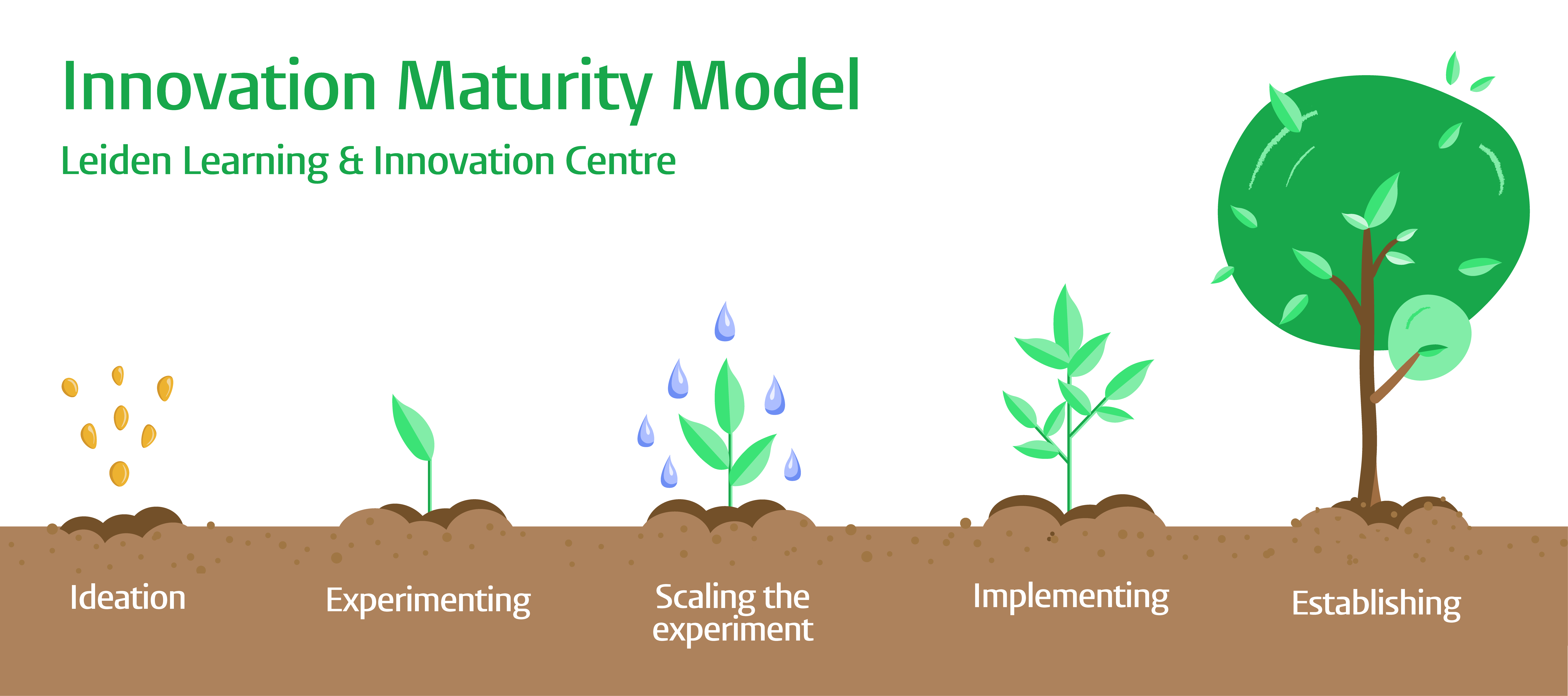 Innovation Methodology: Guiding Principles