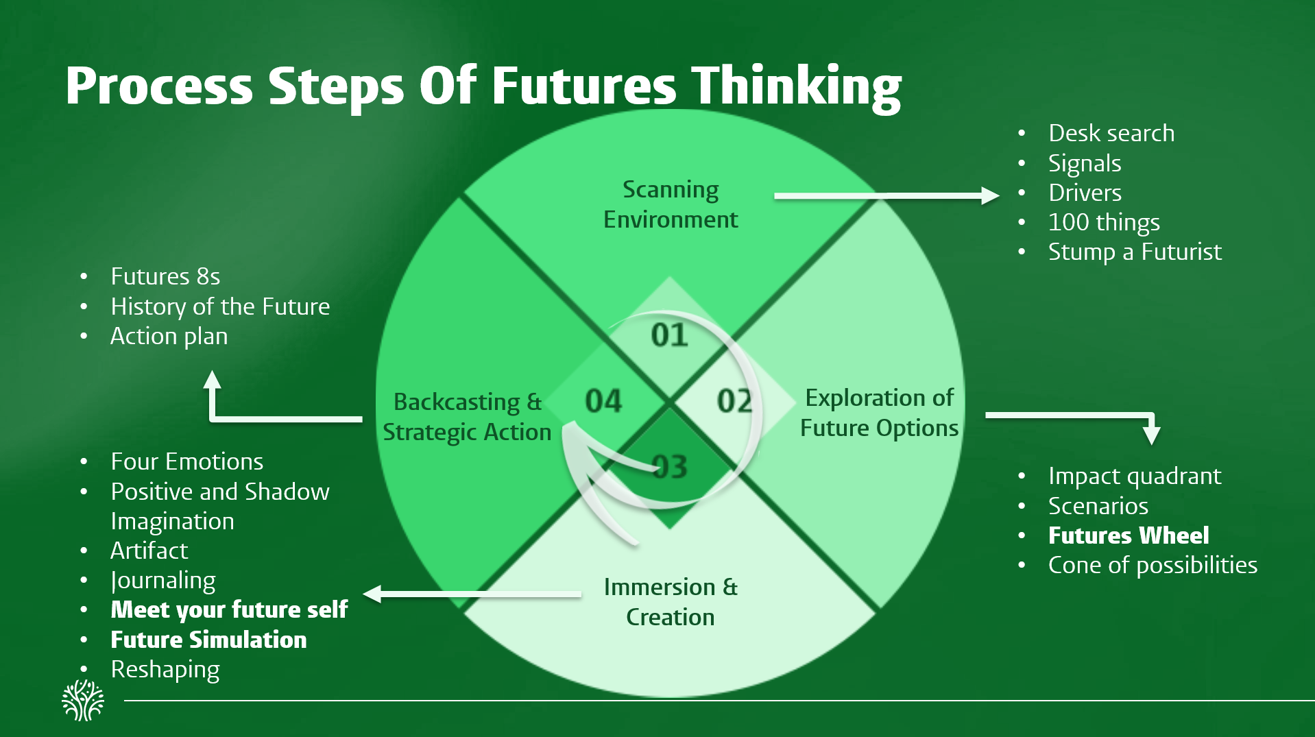 Expecting the Unexpected: A Journey with Medical Specialists